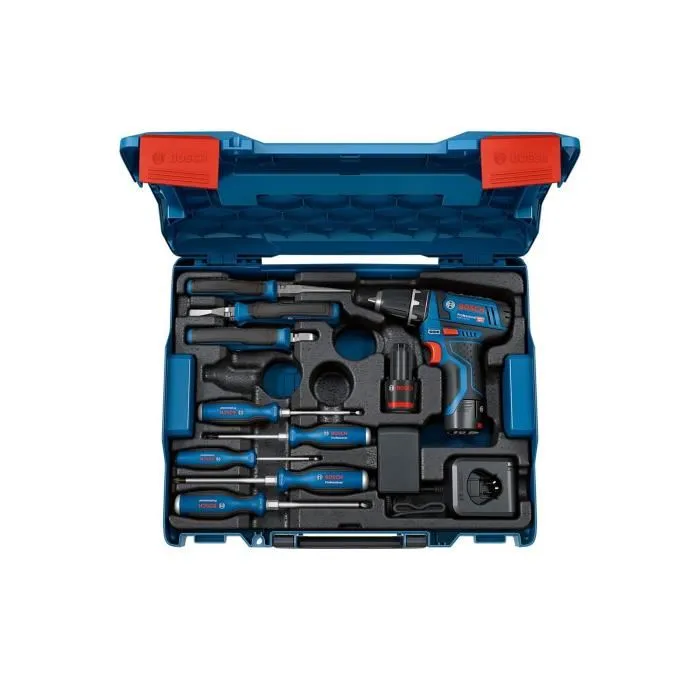 Bosch Professional Perceuse-Visseuse sans Fil GSR 12V-15 060186810R avec 2 Batteries 2.0Ah, Chargeur GAL 12V-20 et Kit d'Outillage à Main