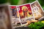 Renegade The Vale of Eternity Jeu de cartes (Version anglaise)