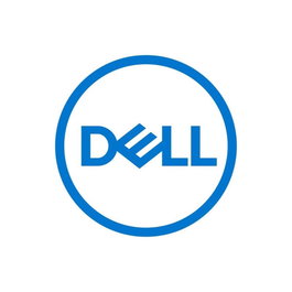 Dell 161-BCFV Disque dur interne 2,4 TB 2,5 pouces SAS 12 Gb/s 10000 rpm