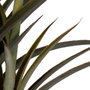 BigBuy Home Plante décorative Bambou Polyéthylène Fer Ciment 45 x 45 x 100 cm