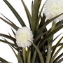BigBuy Home Plante décorative Bambou Polyéthylène Fer Ciment 45 x 45 x 100 cm