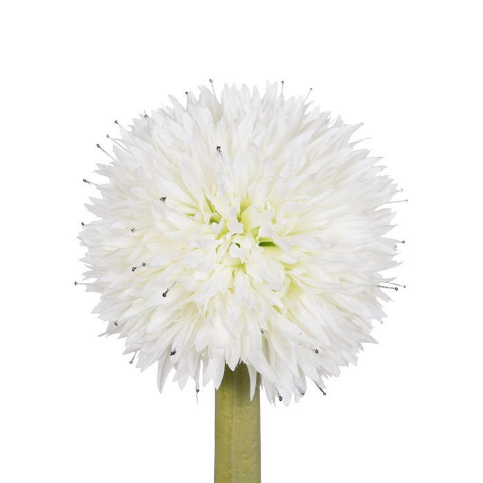 BigBuy Home Plante décorative Bambou Polyéthylène Fer Ciment 45 x 45 x 100 cm