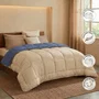 TOISON D'OR Couette Chaude Microfibre 400 g/m² Bicolore Pétrole et Mastic 220 x 240 cm
