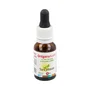 SURA VITASAN Huile d'Origan Sauvage 15 ml
