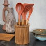 Livoo Set d'ustensiles de cuisine MES153 Orange, 5 pièces avec pot en acacia FSC
