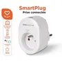 SCS SENTINEL SmartPlug - Prise connectée WiFi 2,4 GHz, 16A, 3600W, contrôle vocal Google Assistant et Amazon Alexa, pour intérieur