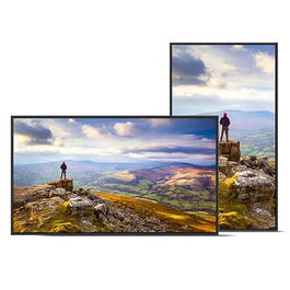 Moniteur Videowall Sharp 60006181 4K Ultra HD 43"