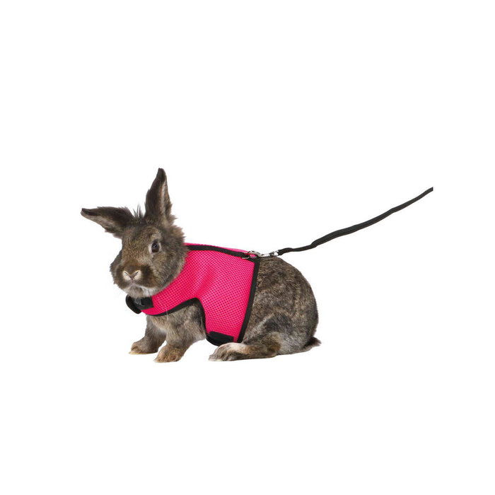 Harnais pour Chien Trixie