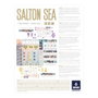 Devir Salton Sea Jeu de Société Stratégique Gestion Géothermique et Lithium Multilingue 1-4 Joueurs 14+ Ans 120 min
