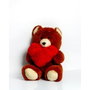 GO GIFT Ours en peluche Frank 50 cm Marron