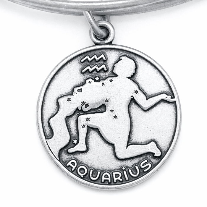 Alex And Ani Bracelet Acuario II Gris Alex And Ani Bracelet Acuario II Gris