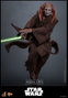 Hot Toys Saesee Tiin figurine Star Wars, épisode III : La Revanche des Sith Movie Masterpiece 1/6 (31 cm)