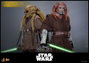 Hot Toys Saesee Tiin figurine Star Wars, épisode III : La Revanche des Sith Movie Masterpiece 1/6 (31 cm)