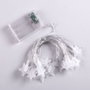 HO-XMAS Guirlande LED d'intérieur 5M Blanc Chaud [HO-XMAS-020-IP20-5M-WW] pour Décoration Maison
