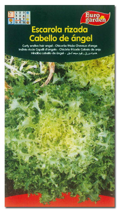 Semillas Fito Horticolas Escarole Cheveux d'Ange (Boîte de 10) Semillas Fito Horticolas Escarole Cheveux d'Ange (Boîte de 10)