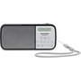 Technisat TechniRadio RDR silver