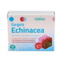 SAKAI Gargola Echinacea 45 capsules