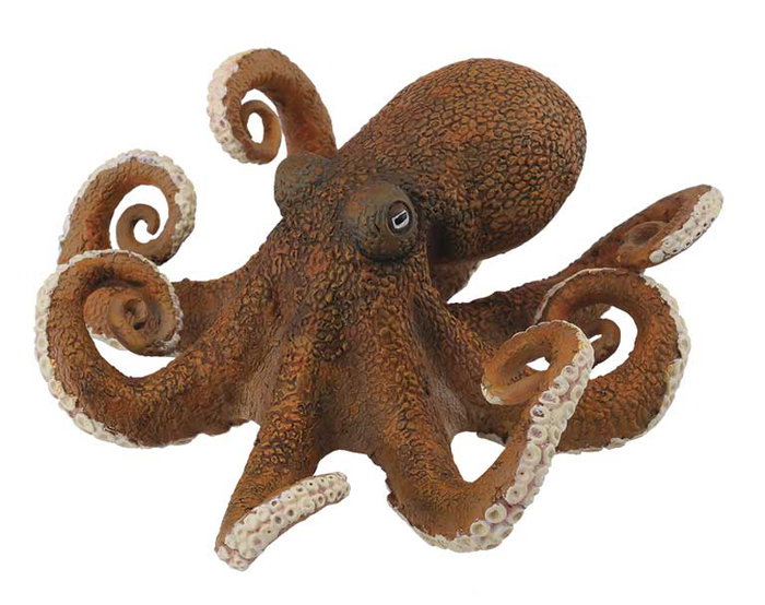 Collecta Pulpo XL 88485 - Figurine Octopus Échelle XL, Réplique Peinte à la Main Modélisée en Détail avec Matériaux de Haute Qualité, Famille Animaux Marins, Figurine Collecta Collecta Pulpo XL 88485 - Figurine Octopus Échelle XL, Réplique Peinte à la Main Modélisée en Détail avec Matériaux de Haute Qualité, Famille Animaux Marins, Figurine Collecta