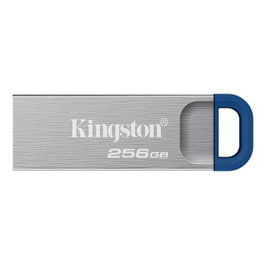 Kingston DataTraveler Kyson 256 Go