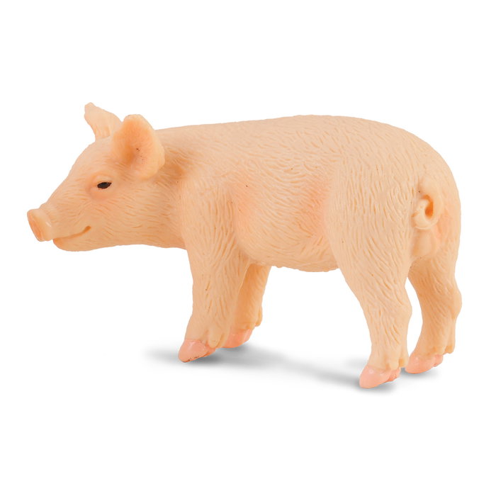 Collecta Figurine Lechón (Cochon de lait) debout - Réplique animalière détaillée peinte à main - Modèle éducatif pour enfants +3 ans Collecta Figurine Lechón (Cochon de lait) debout - Réplique animalière détaillée peinte à main - Modèle éducatif pour enfants +3 ans