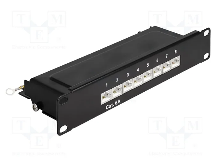 DELOCK Panneau de brassage Cat 6a 1U 10 pouces noir DELOCK Panneau de brassage Cat 6a 1U 10 pouces noir