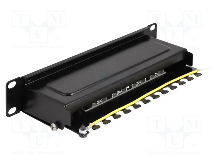DELOCK Panneau de brassage Cat 6a 1U 10 pouces noir DELOCK Panneau de brassage Cat 6a 1U 10 pouces noir