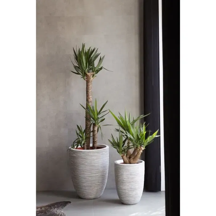 Capi Europe Pot de Fleurs Nature Rib - 36x47 cm - Ivoire - Texture Côtelée - Usage Intérieur/Extérieur Capi Europe Pot de Fleurs Nature Rib - 36x47 cm - Ivoire - Texture Côtelée - Usage Intérieur/Extérieur
