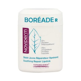 NOVIDERM BOREADE R Stick Réparateur 11 ml