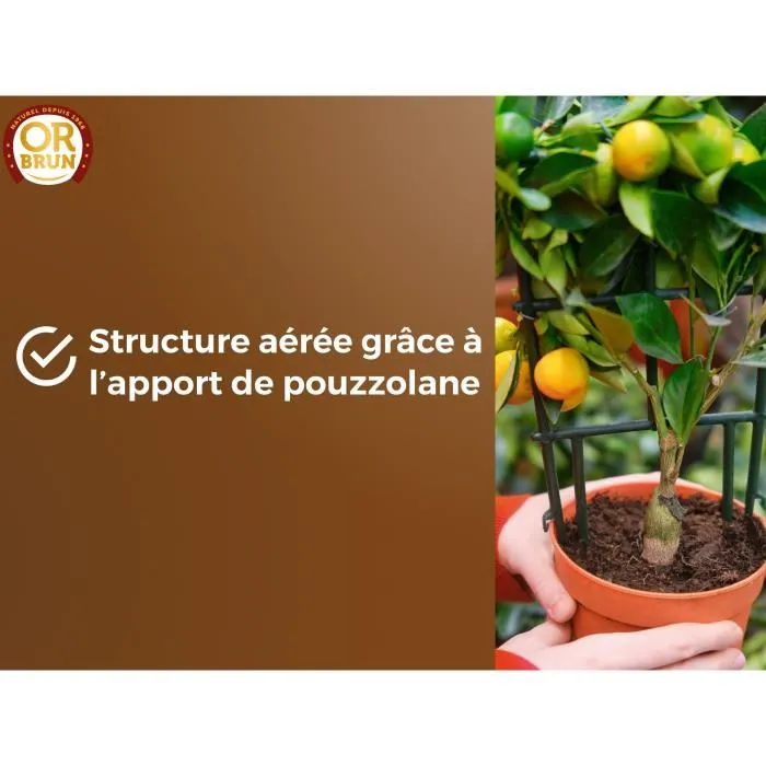 Or Brun Terreau pour Agrumes et Plantes Méditerranéennes OBRTAG20N - 20 L - Substrat Enrichi en Nutriments pour Croissance et Floraison