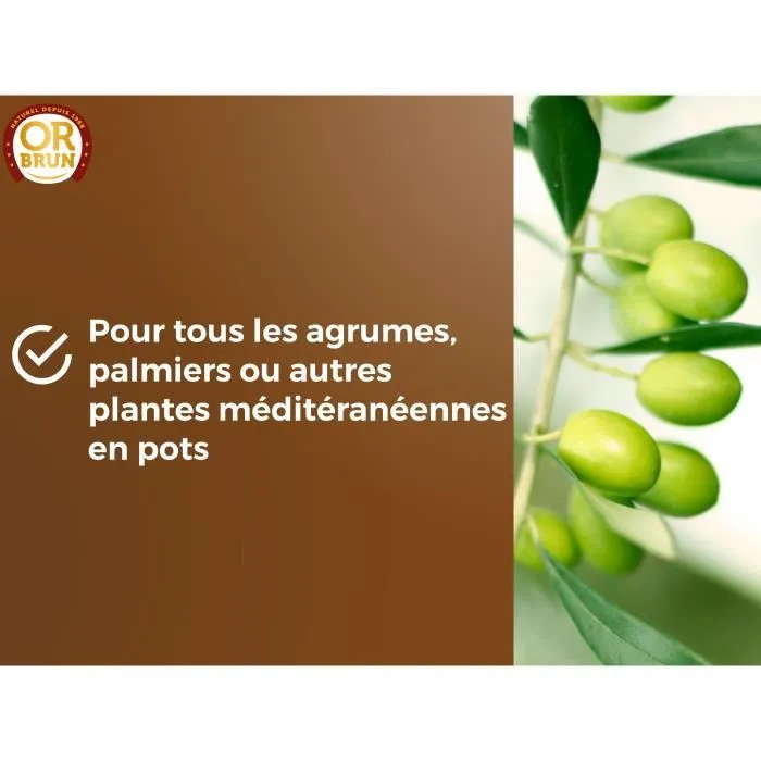 Or Brun Terreau pour Agrumes et Plantes Méditerranéennes OBRTAG20N - 20 L - Substrat Enrichi en Nutriments pour Croissance et Floraison