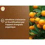 Or Brun Terreau pour Agrumes et Plantes Méditerranéennes OBRTAG20N - 20 L - Substrat Enrichi en Nutriments pour Croissance et Floraison