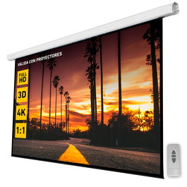 Phoenix technologies Téléviseur Électrique pour Vidéoprojecteur, Fixation Murale et Plafond