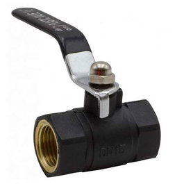 Riegolux Valve antigel en nylon 3/4 avec levier