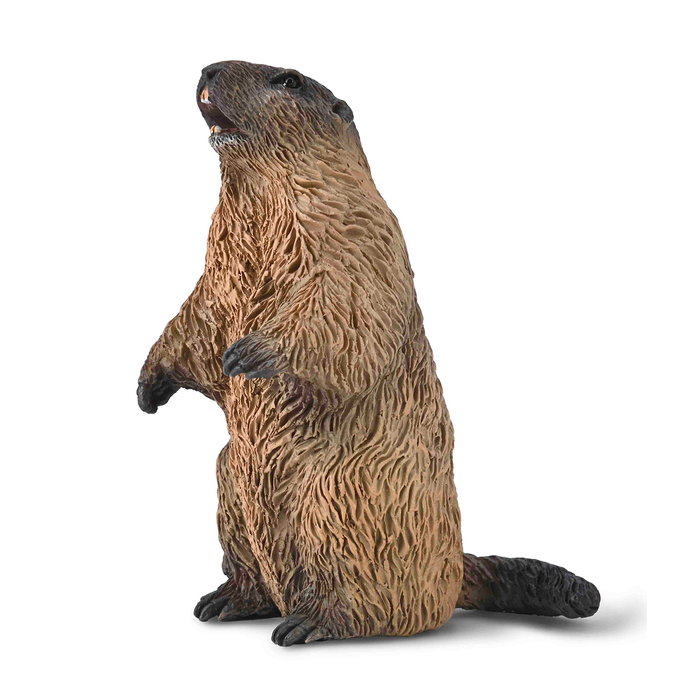 COLLECTA Marmota S-80044 COLLECTA Marmota S-80044