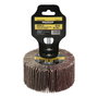 WOLFPACK LINEA PROFESIONAL Disque abrasif éventail grain 80, 80x40 mm