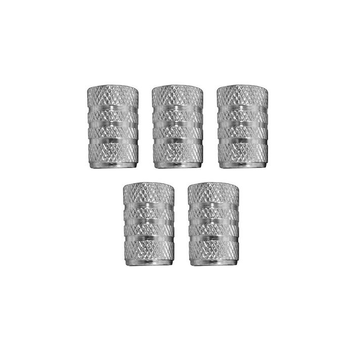 Dunlop Set de 5 bouchons de valve de roue argentés Dunlop Set de 5 bouchons de valve de roue argentés