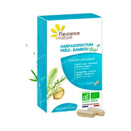 FLEURANCE NATURE Harpagophytum Prêle Bambou BIO 40 Capsules