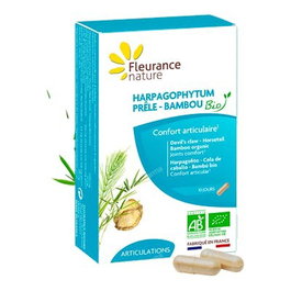 FLEURANCE NATURE Harpagophytum Prêle Bambou BIO 40 Capsules