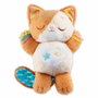 Vtech Baby Mon Chaton Douce Nuit
