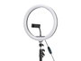 Arte Regal Ring Light Selfie Trépied 57x10x30 cm avec Pied Extensible 195 cm Plastique Noir Blanc 120 LED USB (Set de 4)