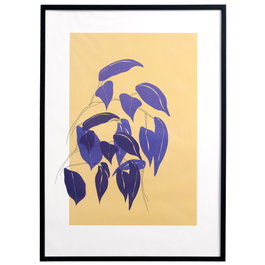 Day Cadre Photo 50x70 cm