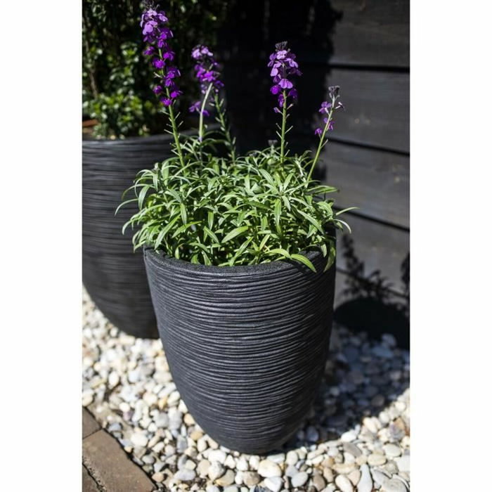 Capi Europe Vase élégant bas RIB NL - Noir - 46x58 cm Capi Europe Vase élégant bas RIB NL - Noir - 46x58 cm