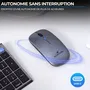 Souris sans fil Bluestork M-WL-OFF105 Silencieuse - Bluetooth 5.0 / dongle USB 2.4 GHz, ultra-plate, gris et noir
