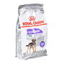 Nourriture Royal Canin Mini Sterilised Adulte Poulet 1 kg