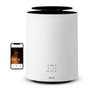 Duux DXCH08 Calefactor Threesixty 2 Smart - Chauffage d'appoint céramique 1800W pour pièce jusqu'à 30m², connecté via app, blanc