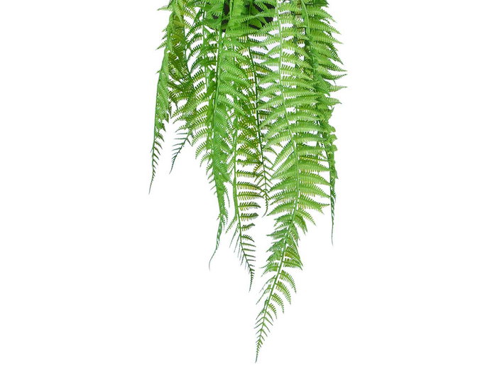 Ibergarden Plante Fougère Suspendue Medium 27x36x17 cm Plastique Vert Noir (Set de 12)
