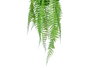 Ibergarden Plante Fougère Suspendue Medium 27x36x17 cm Plastique Vert Noir (Set de 12)