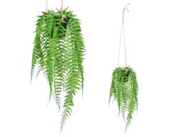 Ibergarden Plante Fougère Suspendue Medium 27x36x17 cm Plastique Vert Noir (Set de 12)