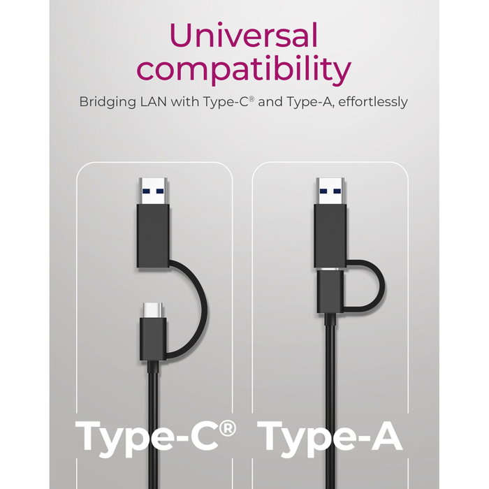 Icy IB-LAN301-C3 Adaptateur USB Type-C / Type-A vers LAN 2,5 Gbit
