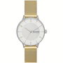 Montre Femme Skagen RIIS (Ø 36 mm)